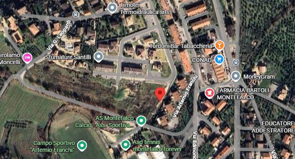 immagine annuncio 2 di 12