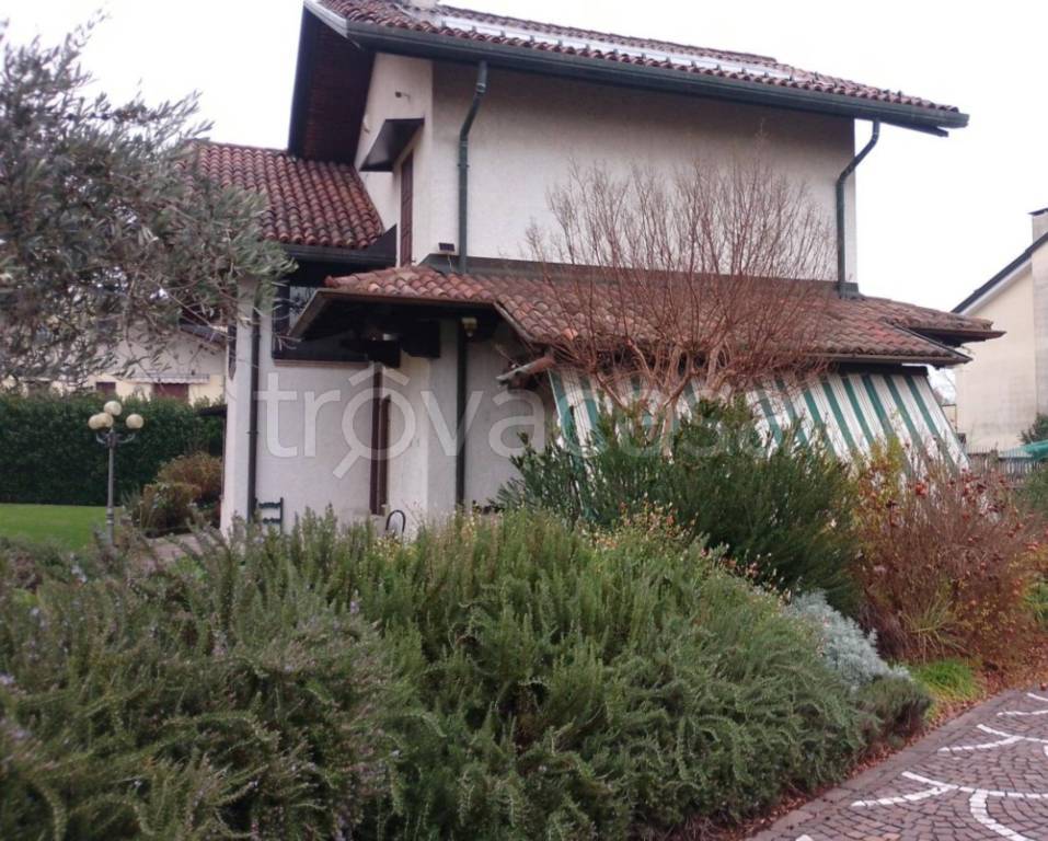 immagine annuncio 9 di 11