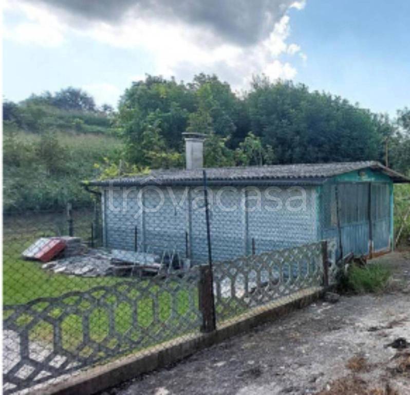 immagine annuncio 5 di 12