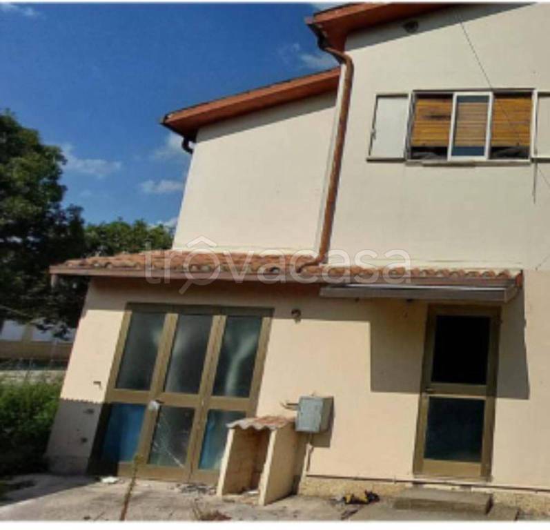 immagine annuncio 8 di 12