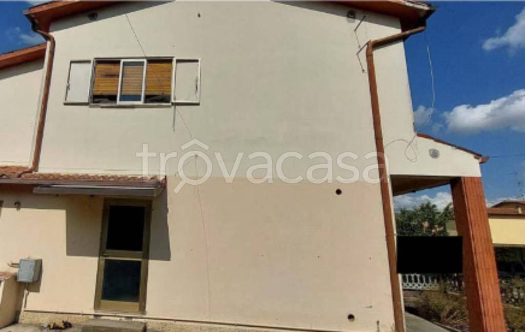 immagine annuncio 9 di 12