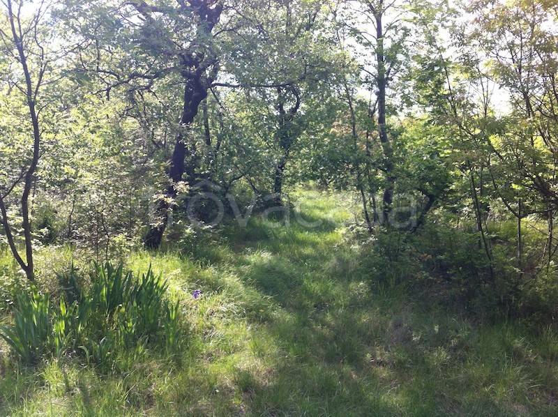 immagine annuncio 1 di 6