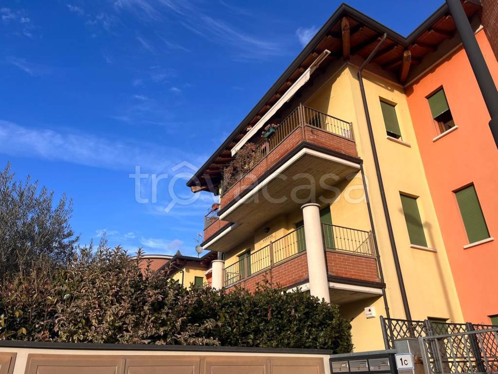 immagine annuncio 1 di 15