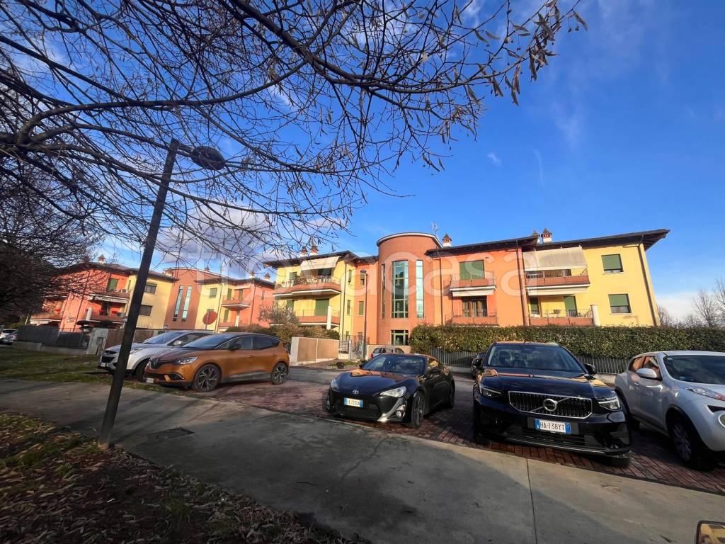 immagine annuncio 2 di 15