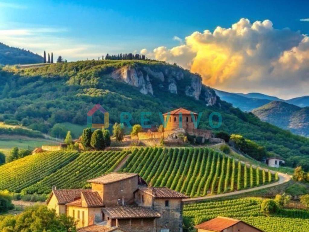 immagine annuncio 4 di 8