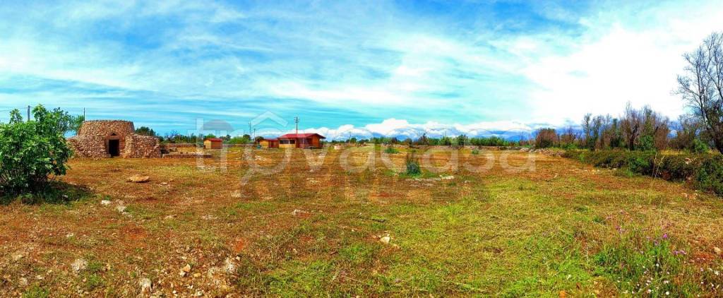 immagine annuncio 10 di 15