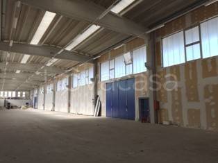 immagine annuncio 3 di 11