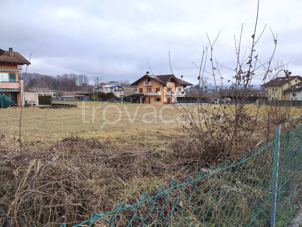 immagine annuncio 8 di 11