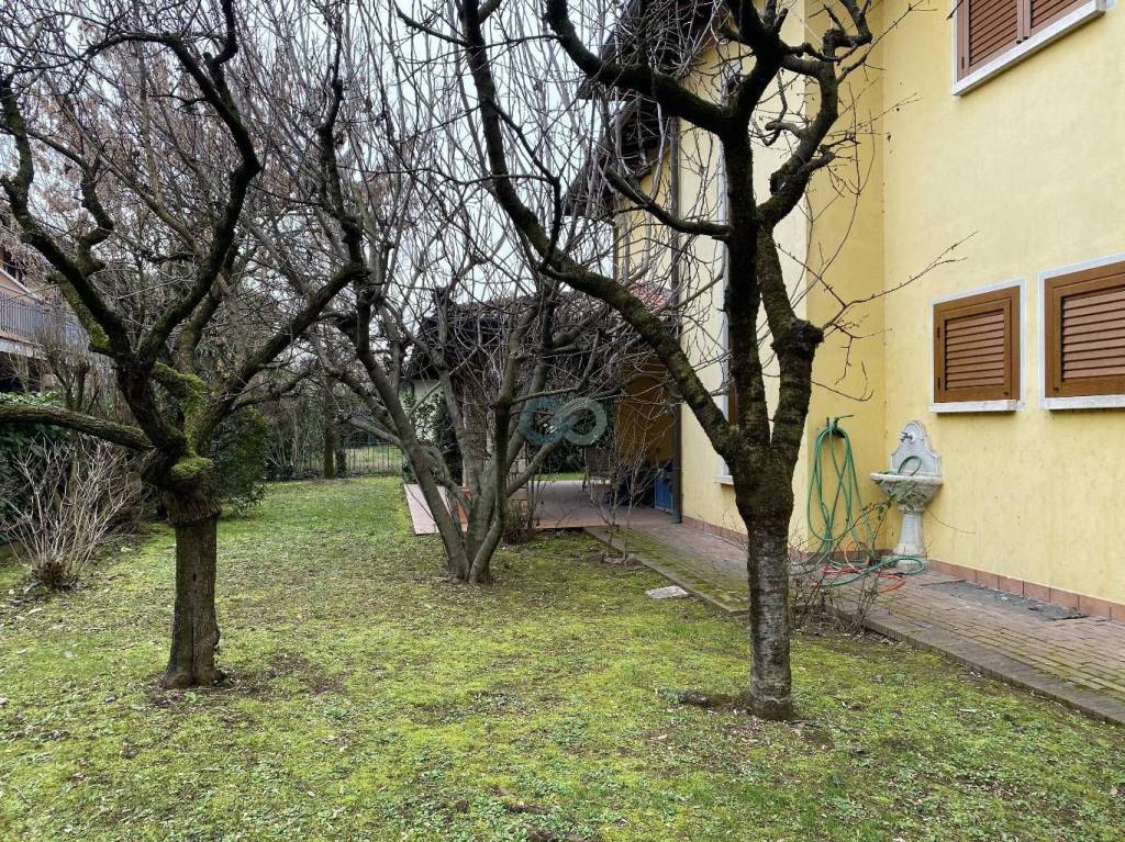 immagine annuncio 6 di 15