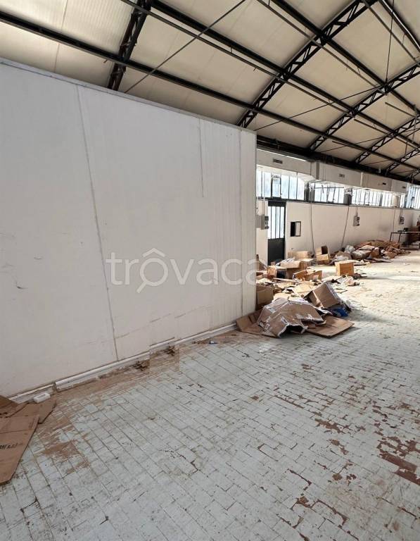 immagine annuncio 2 di 9