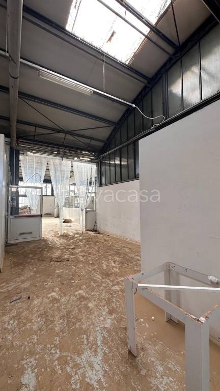 immagine annuncio 5 di 9