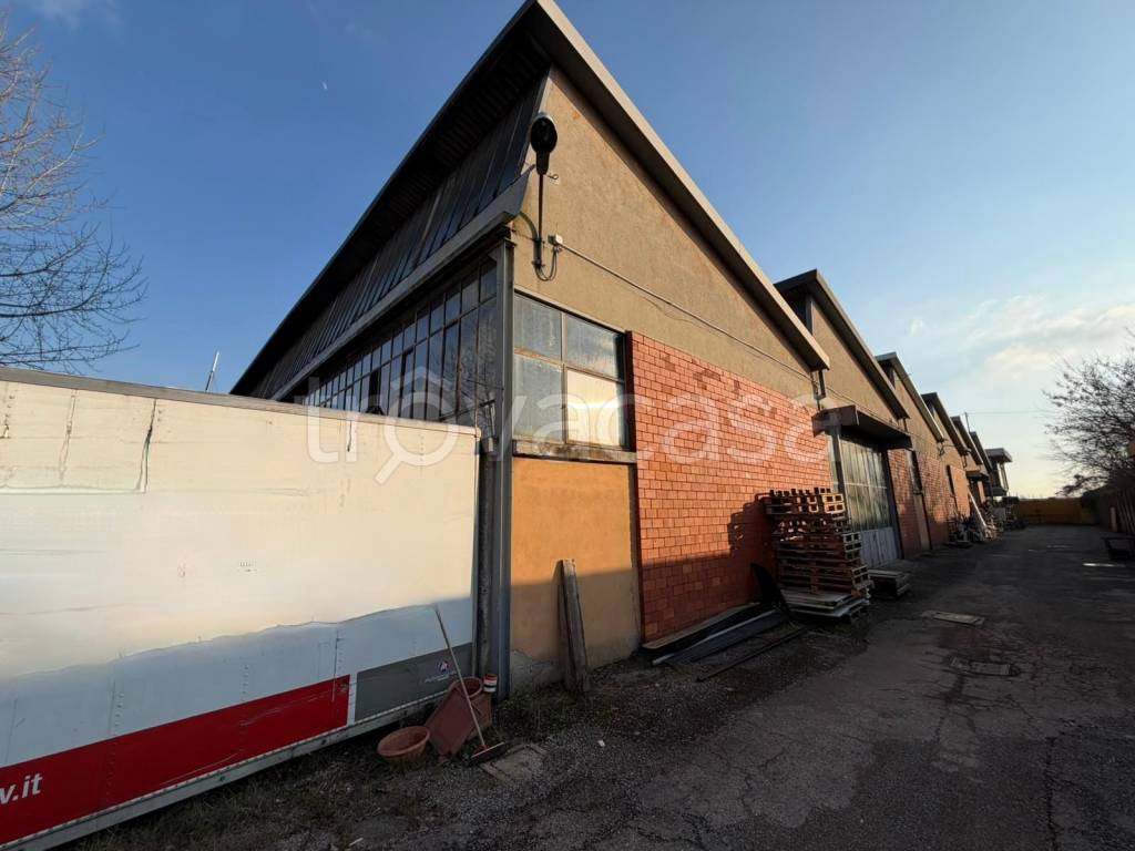 immagine annuncio 8 di 13