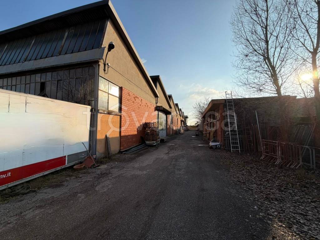 immagine annuncio 11 di 13