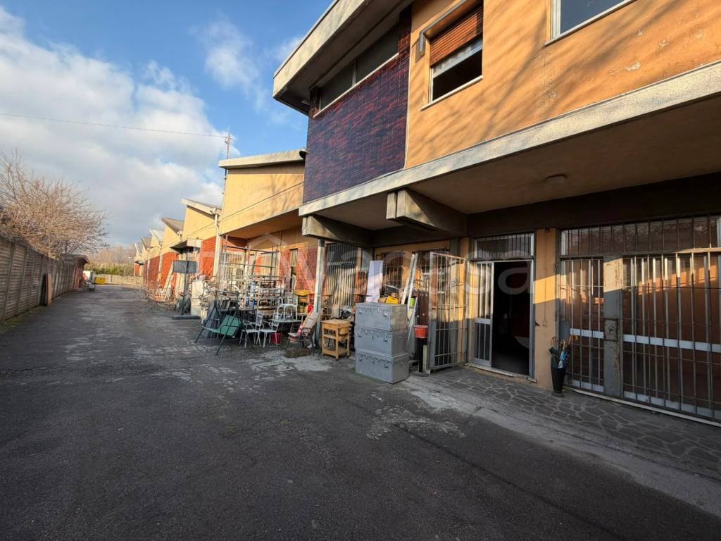 immagine annuncio 12 di 13