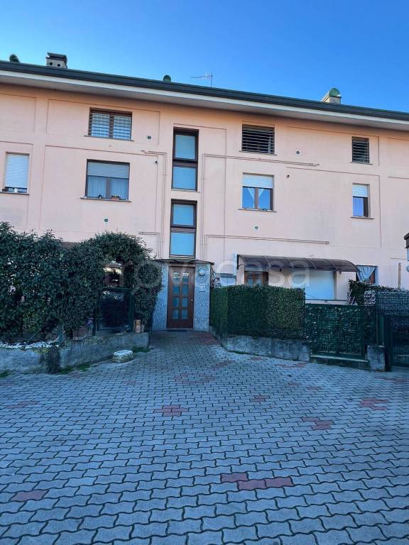 immagine annuncio 10 di 11