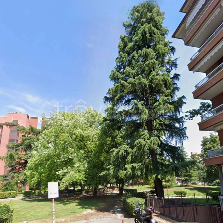 immagine annuncio 2 di 8