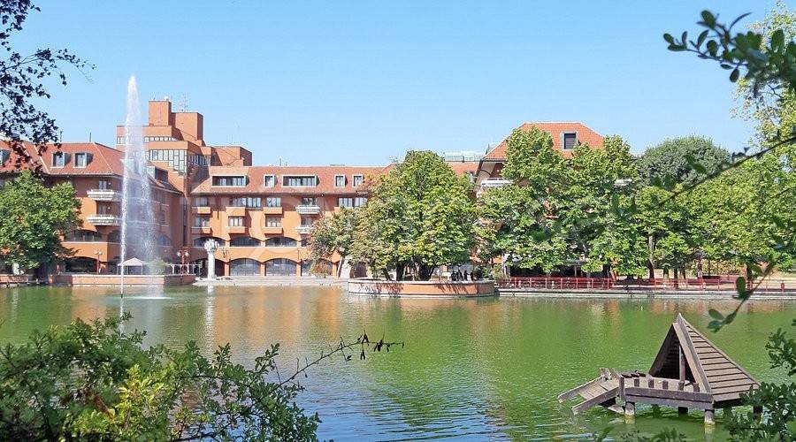 immagine annuncio 7 di 8