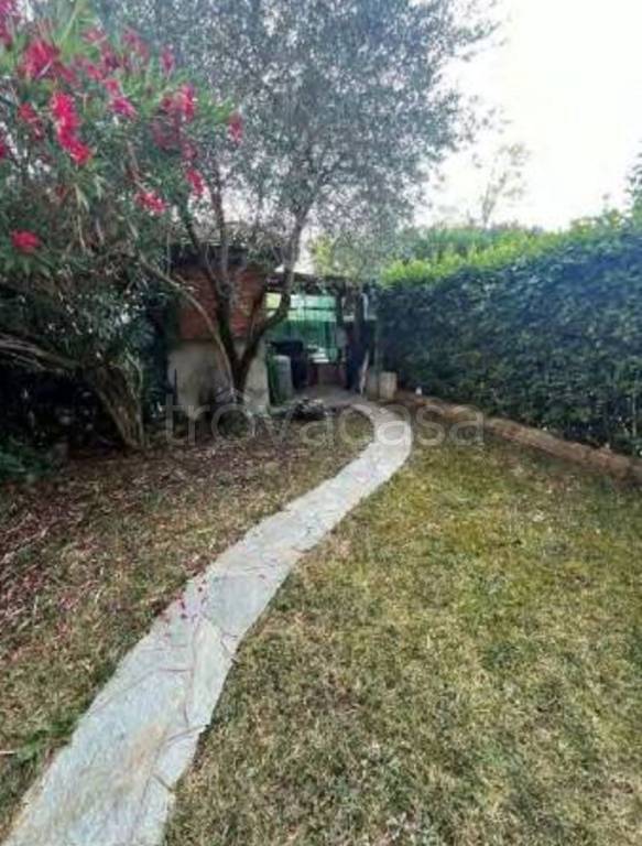 immagine annuncio 7 di 12