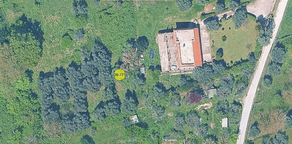 immagine annuncio 11 di 12