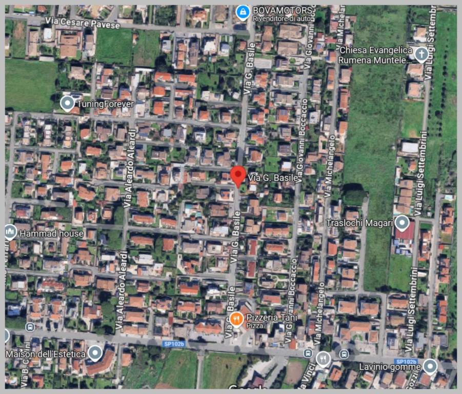 immagine annuncio 12 di 15