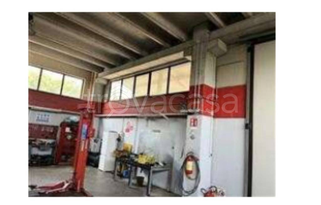 immagine annuncio 4 di 9