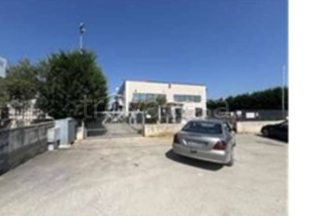 immagine annuncio 5 di 9