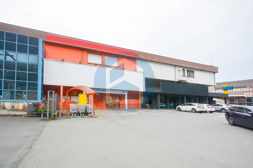 immagine annuncio 4 di 9