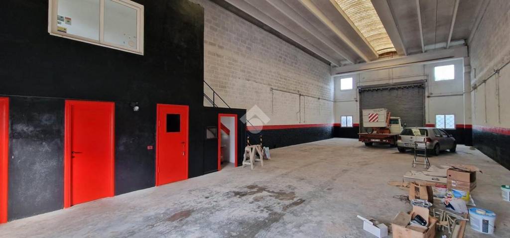 immagine annuncio 11 di 15