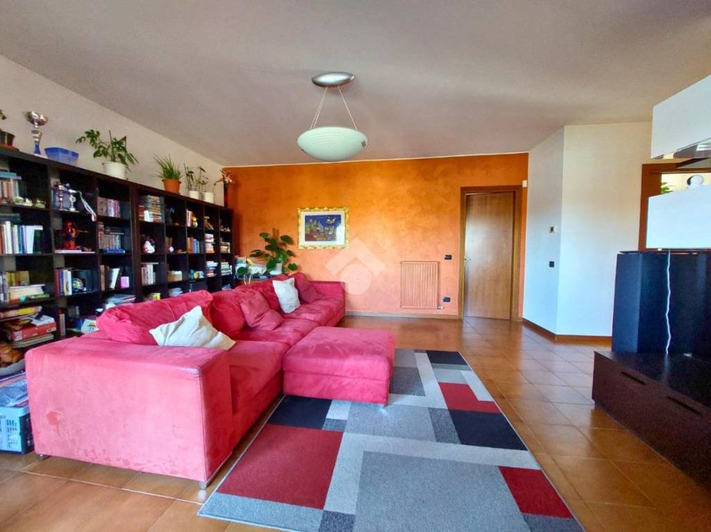 immagine annuncio 6 di 15