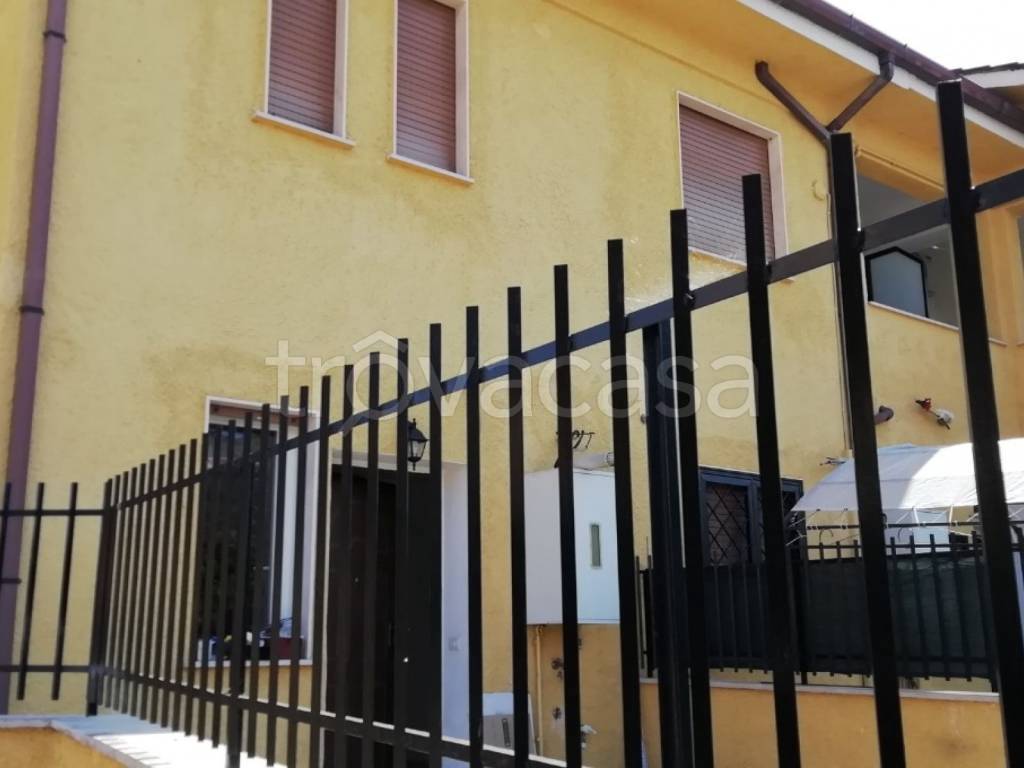 immagine annuncio 7 di 11