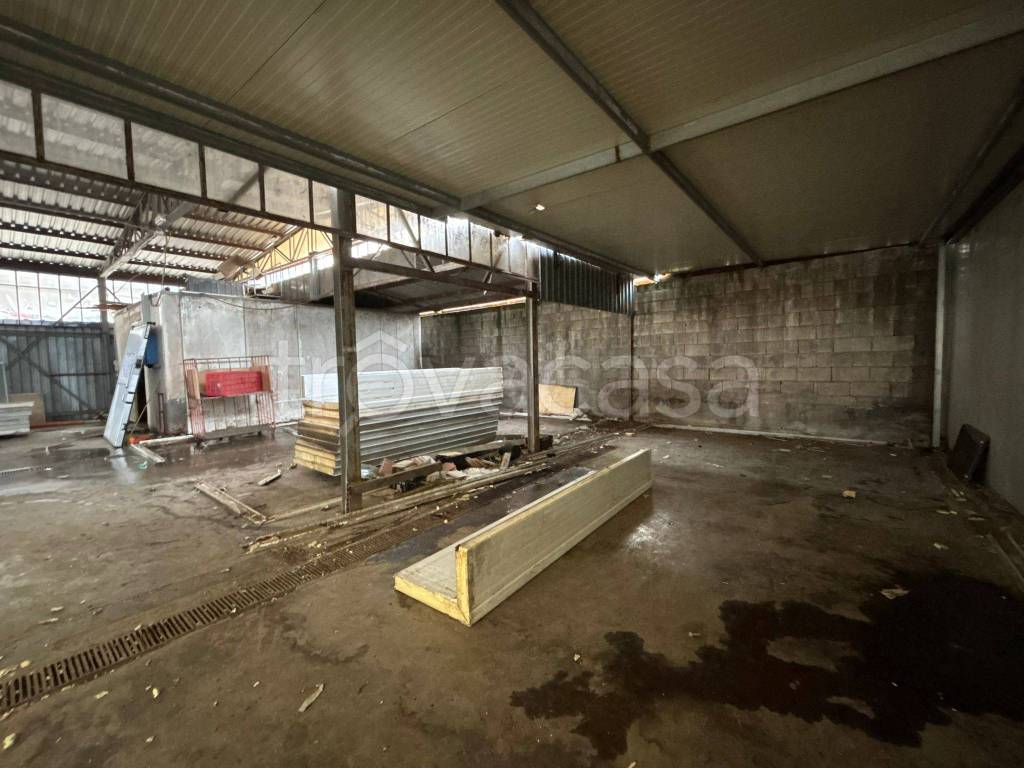 immagine annuncio 3 di 12