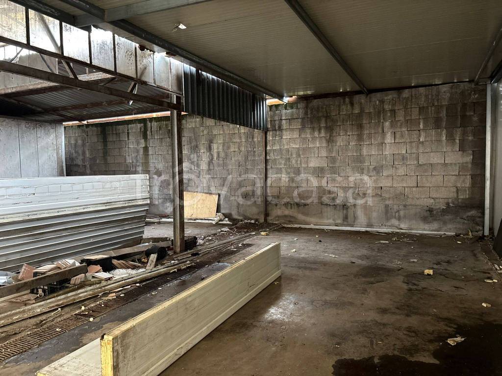 immagine annuncio 4 di 12