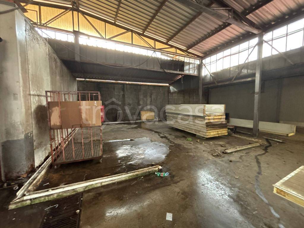 immagine annuncio 5 di 12