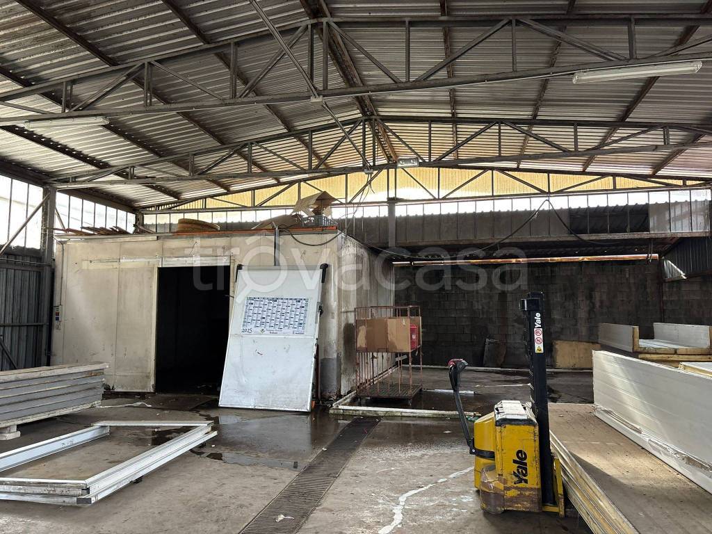 immagine annuncio 7 di 12