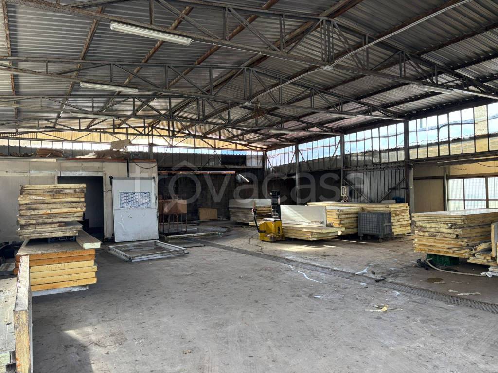 immagine annuncio 9 di 12