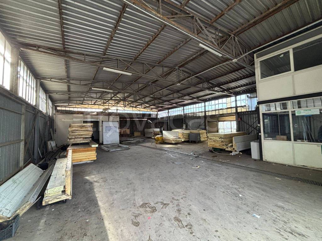 immagine annuncio 10 di 12