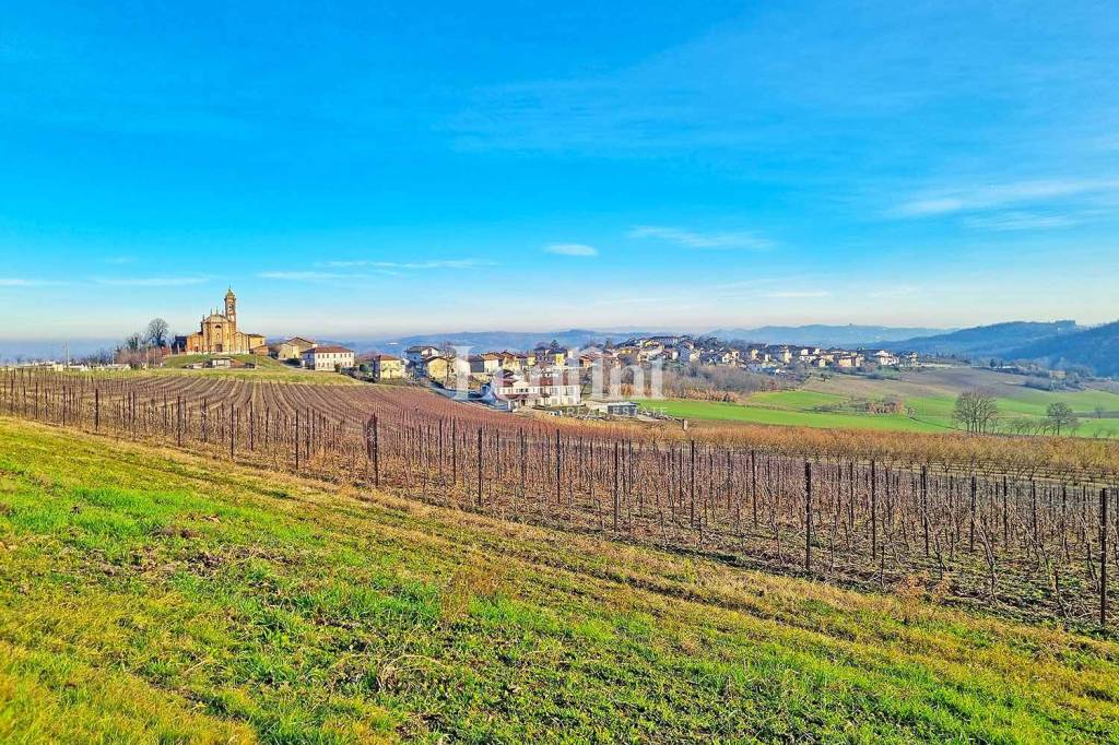 immagine annuncio 11 di 12