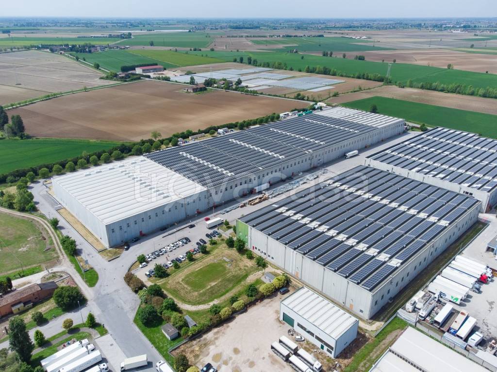 immagine annuncio 2 di 3