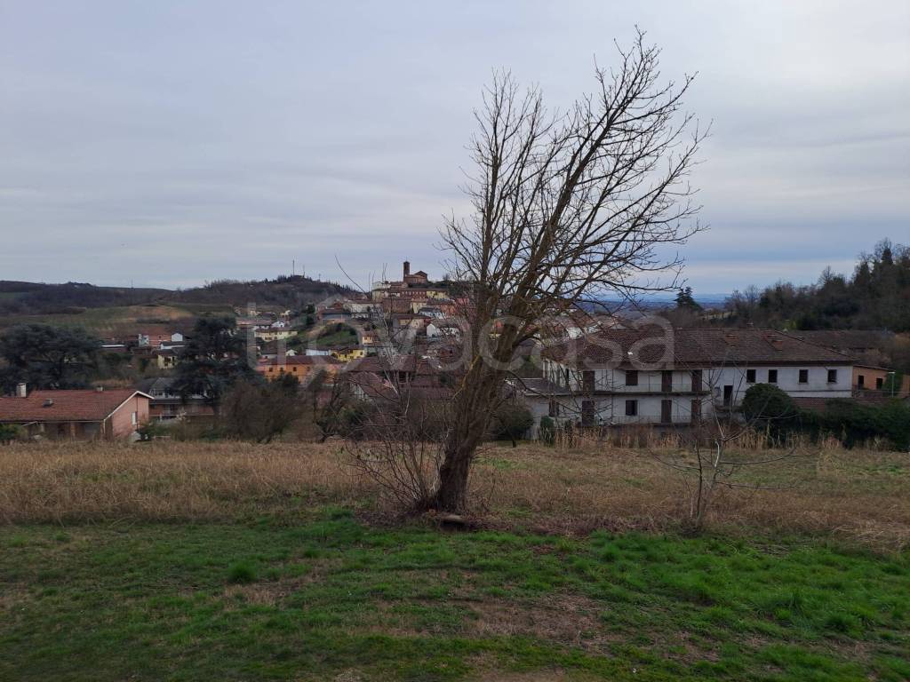 immagine annuncio 6 di 7