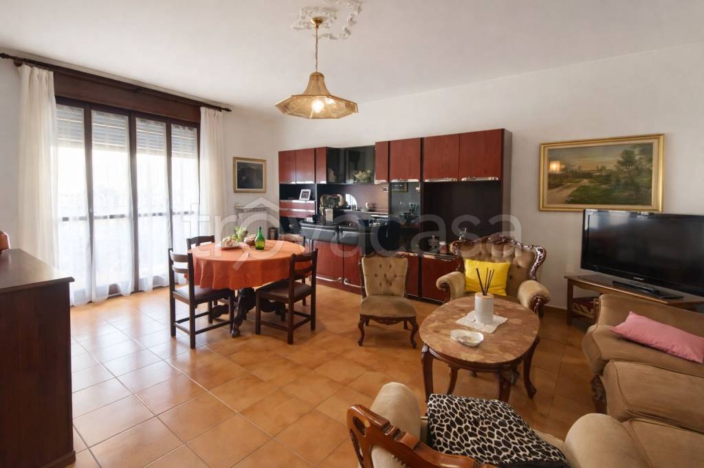 immagine annuncio 4 di 14