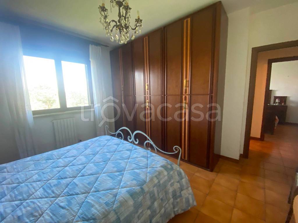 immagine annuncio 7 di 14