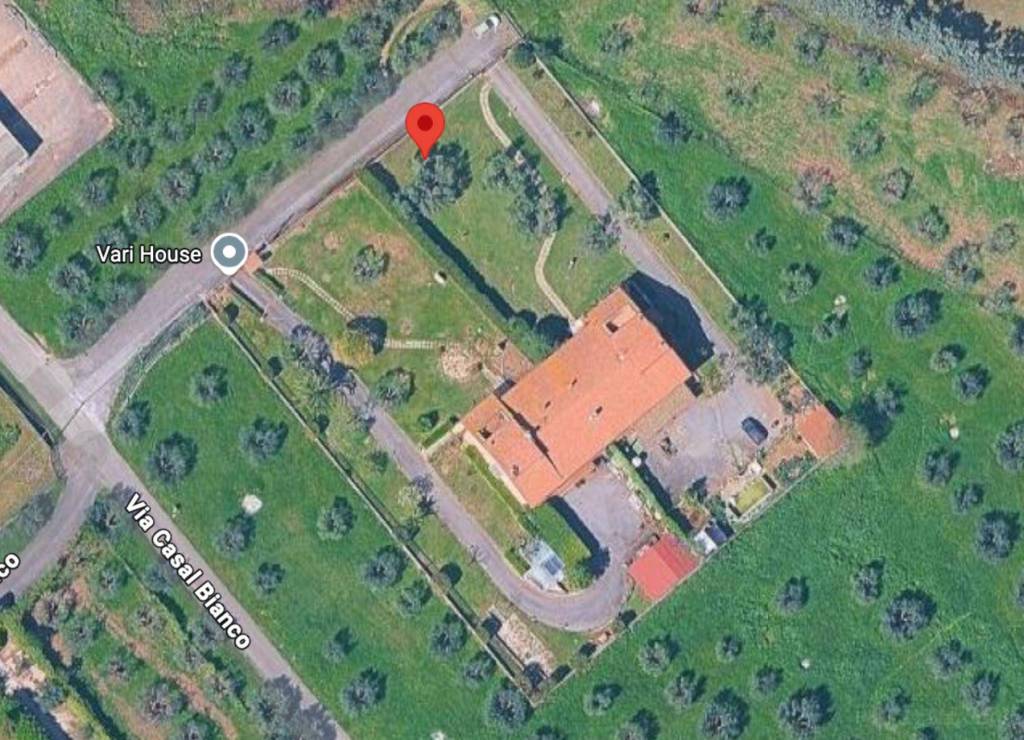 immagine annuncio 8 di 12