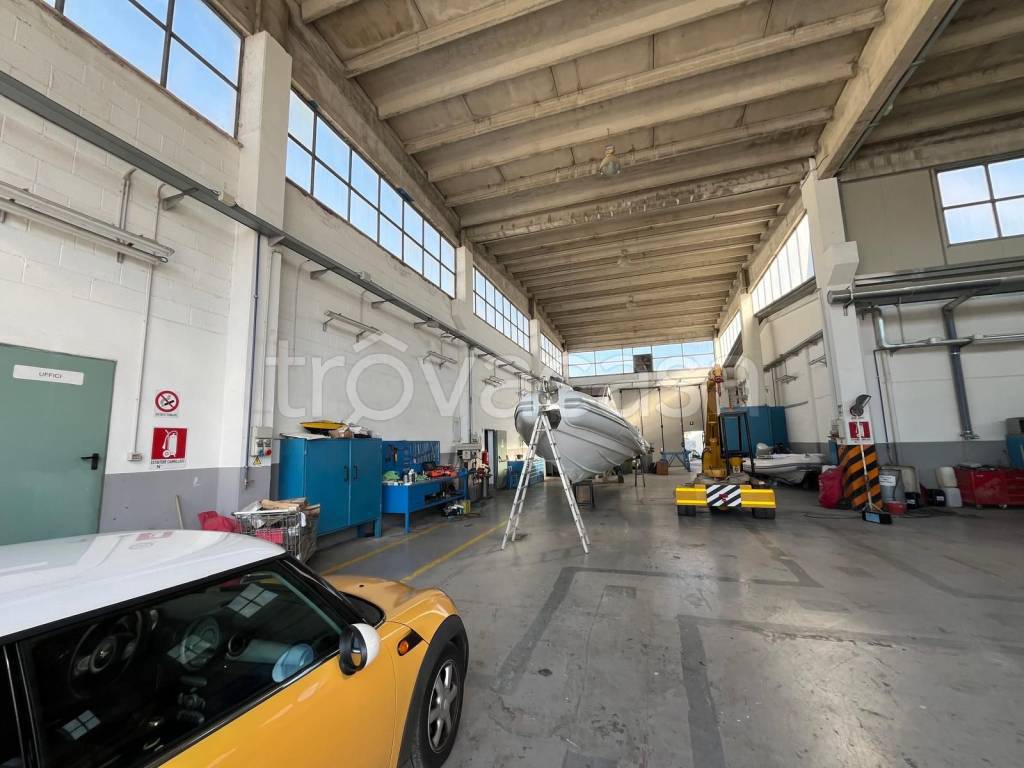 immagine annuncio 7 di 15