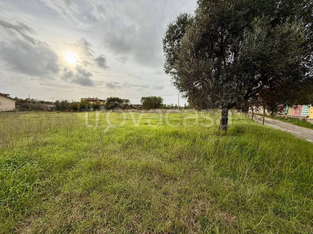 immagine annuncio 6 di 10