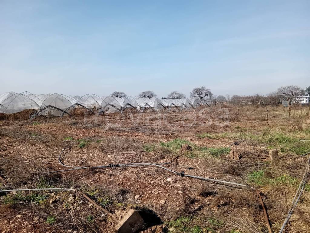 immagine annuncio 1 di 8