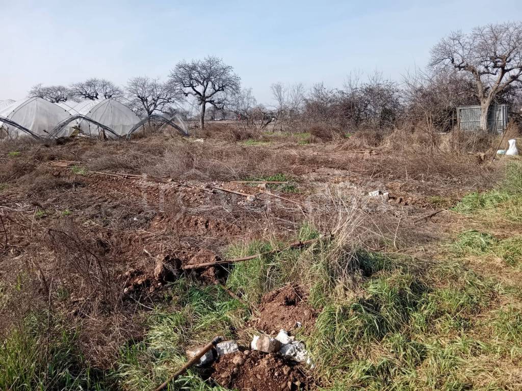 immagine annuncio 2 di 8