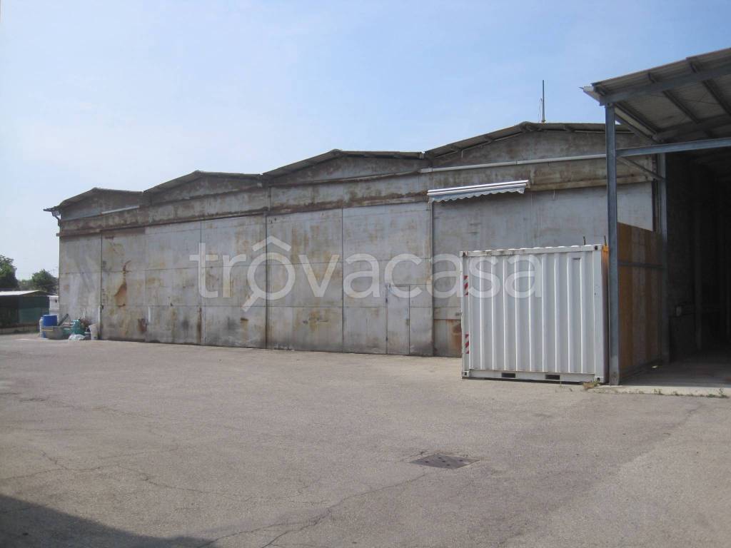 immagine annuncio 1 di 8