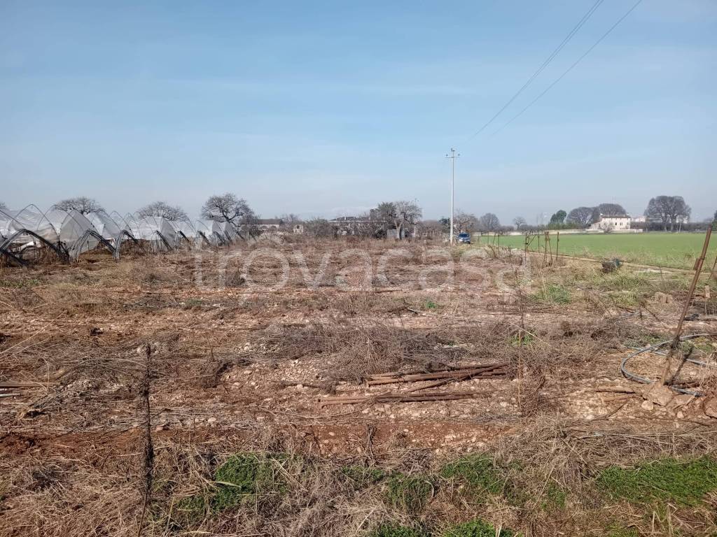 immagine annuncio 3 di 8