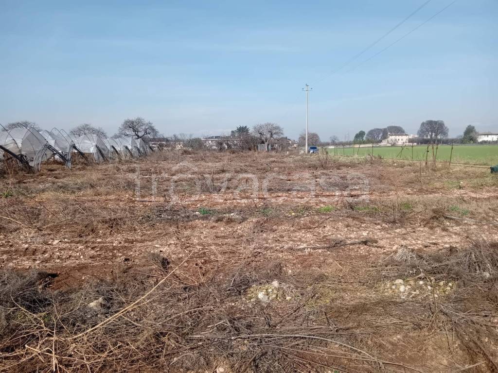 immagine annuncio 4 di 8