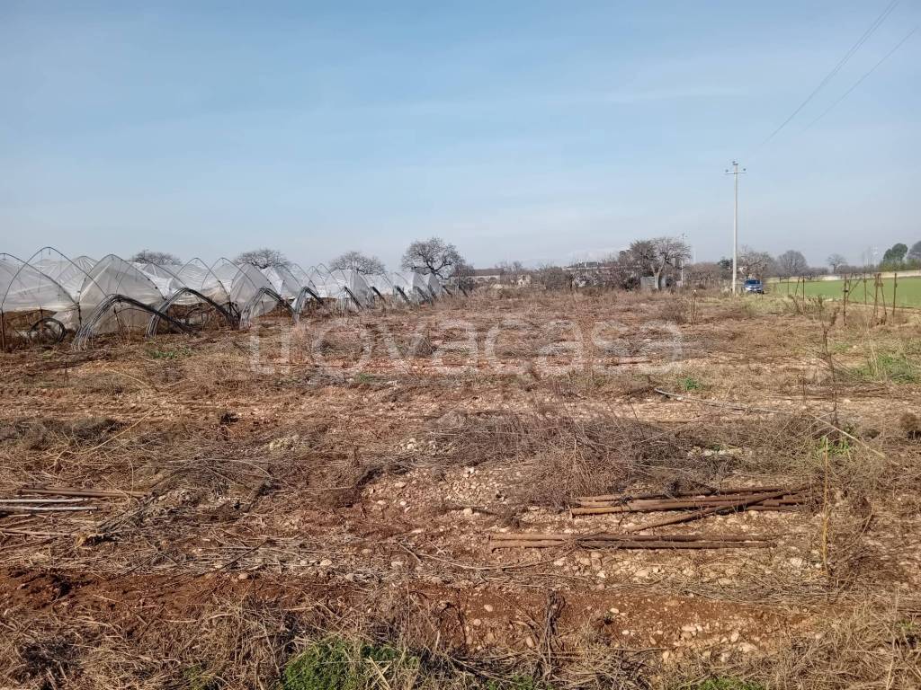 immagine annuncio 5 di 8